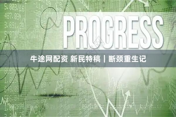 牛途網配資 新民特稿｜斷頸重生記