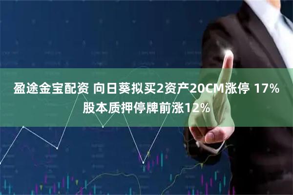 盈途金寶配資 向日葵擬買2資產20CM漲停 17%股本質押停牌前漲12%