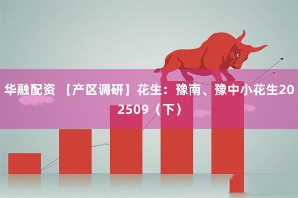 華融配資 【產區調研】花生：豫南、豫中小花生202509（下）
