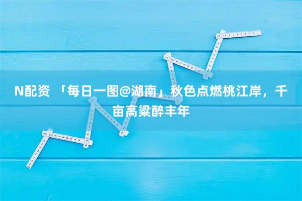 N配資 「每日一圖@湖南」秋色點燃桃江岸，千畝高粱醉豐年